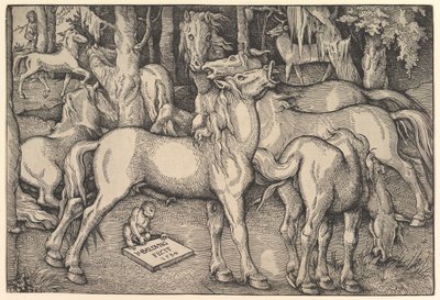 Grupo de siete caballos, 1534 de Hans Baldung