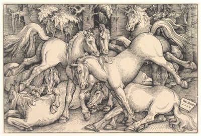 Grupo de siete caballos, 1534 de Hans Baldung