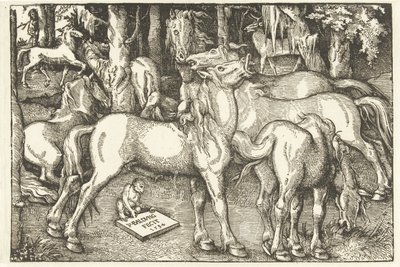 Grupo de siete caballos y un mono de Hans Baldung Grien