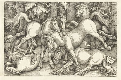 Grupo de siete caballos de combate de Hans Baldung Grien