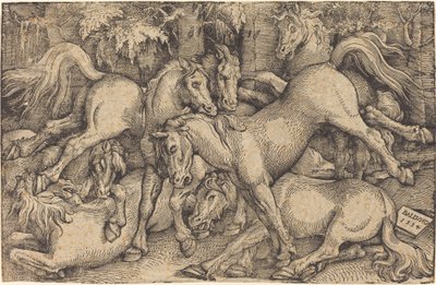 Grupo de siete caballos en el bosque de Hans Baldung Grien