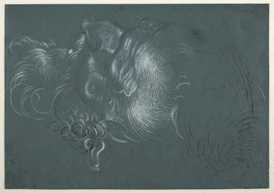 Cabeza de un apóstol, vista desde arriba a la izquierda de Hans Baldung Grien