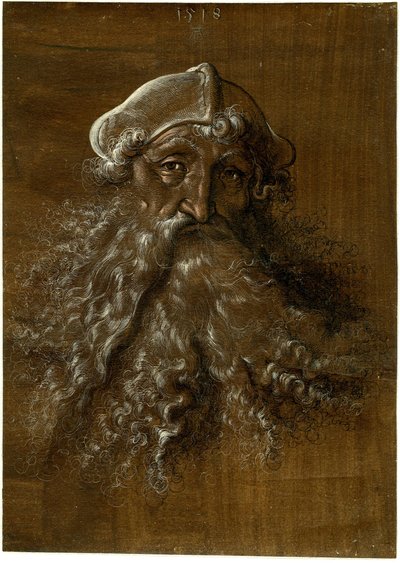Cabeza de un anciano con barba poblada de Hans Baldung Grien