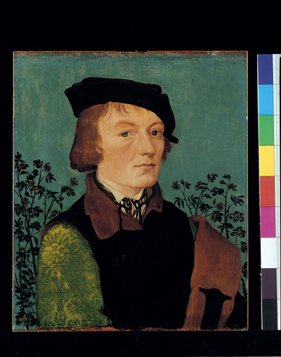 Retrato de un hombre frente a un seto de rosas (óleo sobre madera) de Hans Baldung Grien