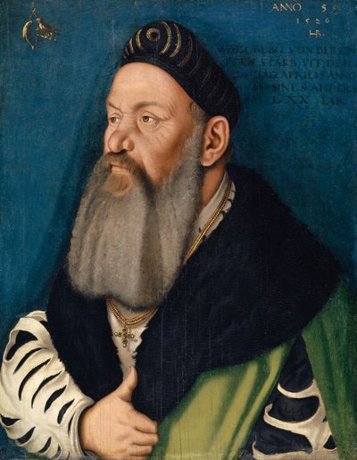 Retrato de Adelberg III von Bärenfels, 1526 de Hans Baldung Grien