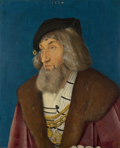Retrato de un hombre de Hans Baldung Grien