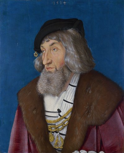 Retrato de un hombre de Hans Baldung Grien