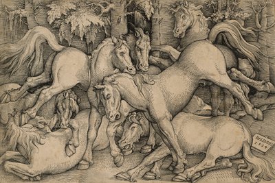 Caballos Salvajes Luchando de Hans Baldung Grien