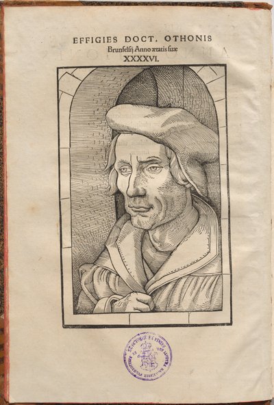 Annotationes Othonis Brunfelsii...in quatuor Euangelia & Acta Apostolorum... de Hans Baldung Grien, Otto Brunfels