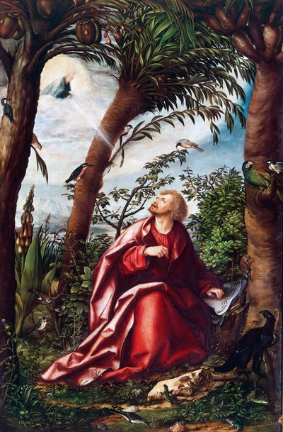 Visión de San Juan en Patmos (detalle) de Hans Burgkmair