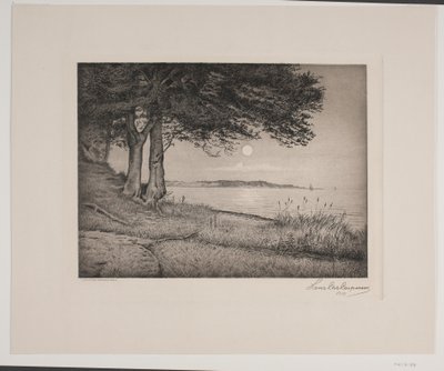 Fiordo de Vejle de Hans Christian Gether Caspersen