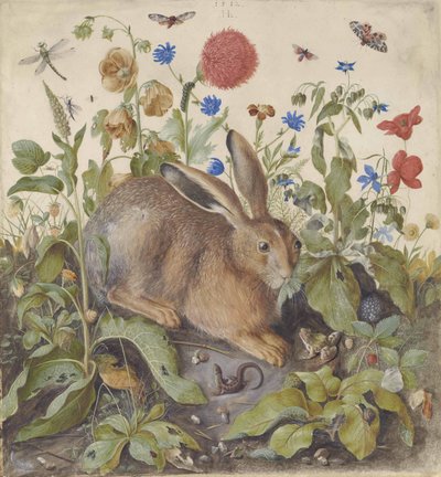 Una liebre entre plantas, 1582 de Hans Hoffmann