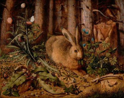 Una Liebre en el Bosque, c. 1585 de Hans Hoffmann