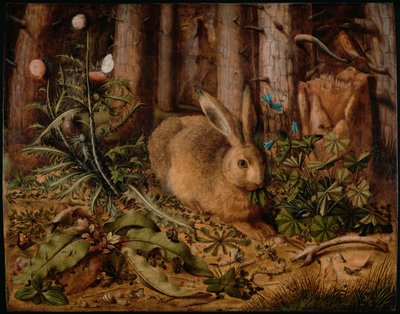 Una liebre en el bosque de Hans Hoffmann