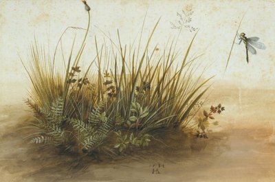 Un Pequeño Trozo de Césped, 1584 de Hans Hoffmann