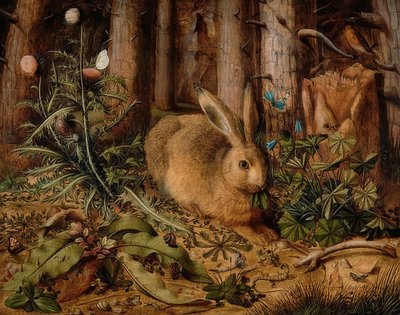 Liebre en el bosque, c. 1585 de Hans Hoffmann