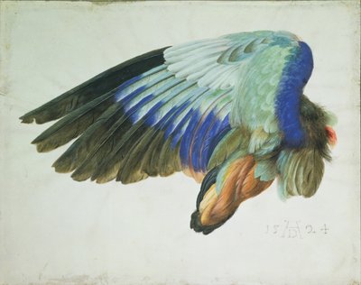 El Ala Derecha de un Carraca Azul de Hans Hoffmann