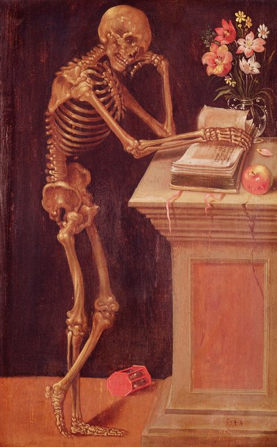 Vanitas, 1543 de Hans Holbein der Jüngere