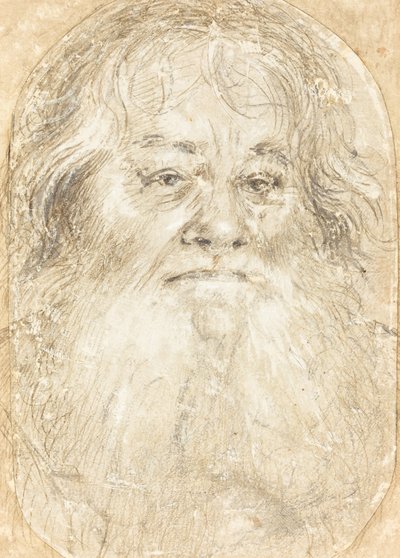 Estudio de un Hombre con Barba (verso) de Hans Holbein the Elder