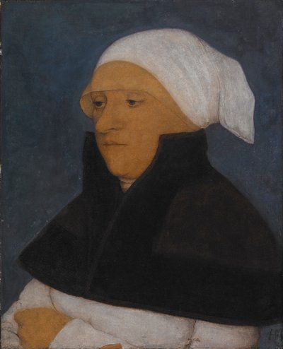 Retrato de dama desconocida de Hans Holbein the Younger
