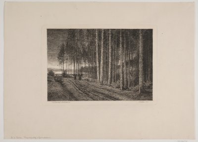 Día de lluvia en el bosque de abetos de Hans Julius Fæster