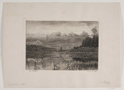 El lago en el bosque de abetos de Hans Julius Fæster