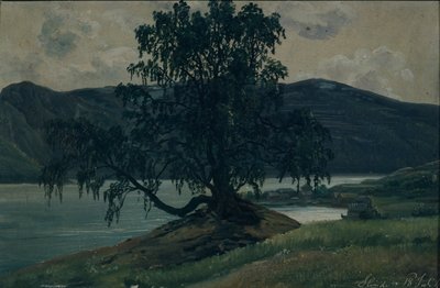 La abedul de Hans Leganger Reusch