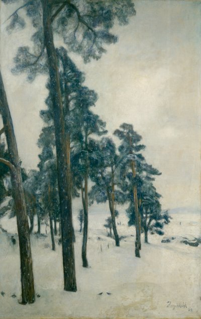 Desde el lago Bogstad de Hans Olaf Heyerdahl