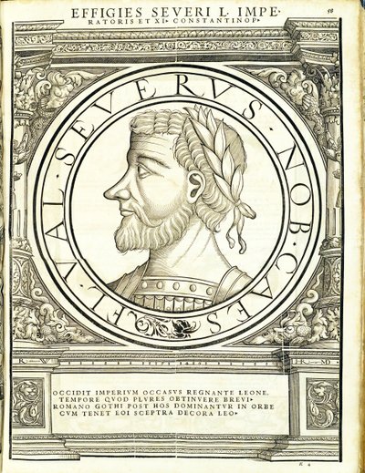 Seuerus D, ilustración de 