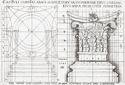 Sección transversal del capitel corintio y dibujo proporcional de Hans Sebald Beham