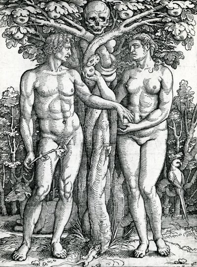 La caída de Adán y Eva, c.1525-27 de Hans Sebald Beham