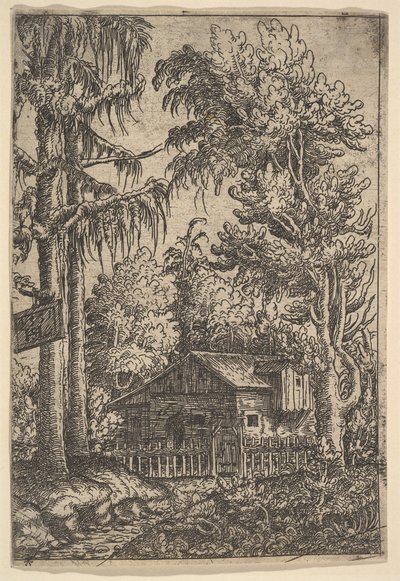 Cabaña entre árboles, 1551 de Hans Sebald Lautensack