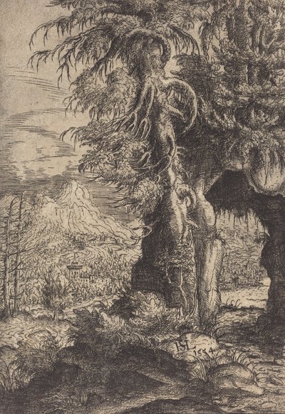 La Puerta en las Rocas de Hans Sebald Lautensack