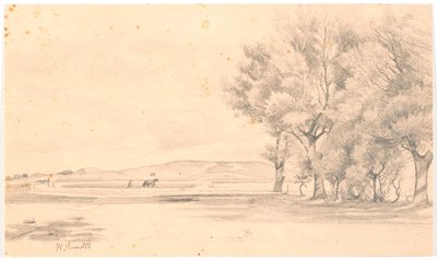 Paisaje con campo arado; a la derecha, árboles altos de Hans Smidth
