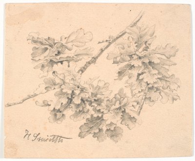 Estudio de ramas de roble de Hans Smidth