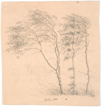 Tres árboles de Hans Smidth