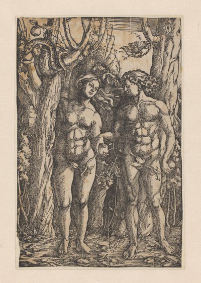 La caída de Hans Springinklee