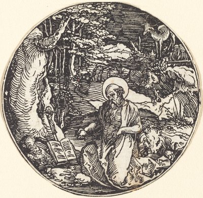 San Jerónimo en Penitencia de Hans Springinklee