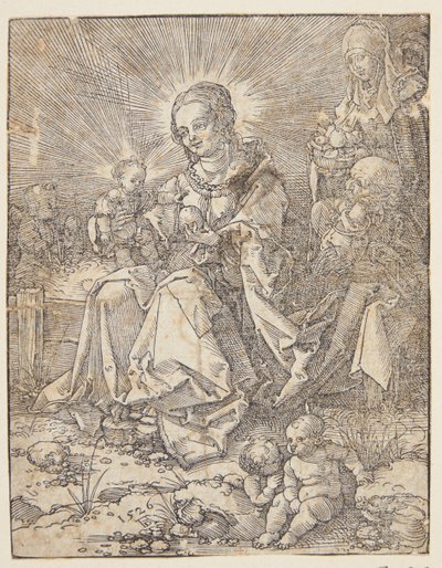 La Madonna en un banco de hierba de Hans Springinklee