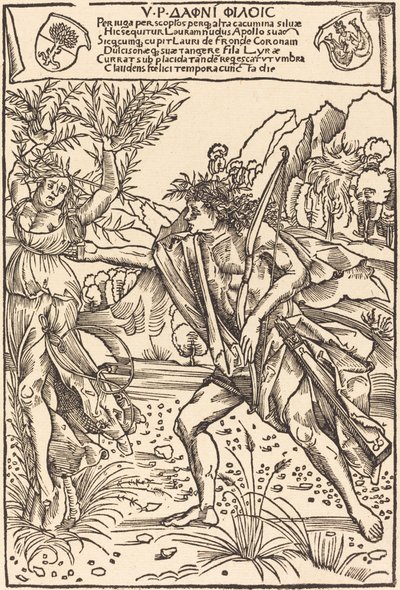 Apolo y Dafne de Hans Süss von Kulmbach