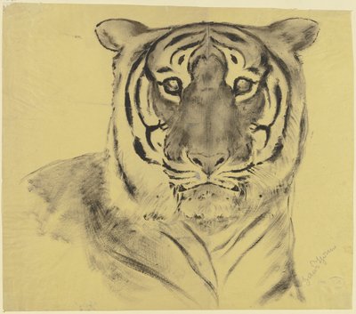 Tigre de Hans Thoma
