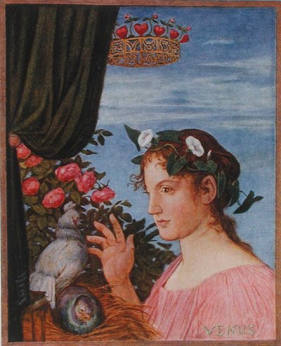 Venus, ilustración de 