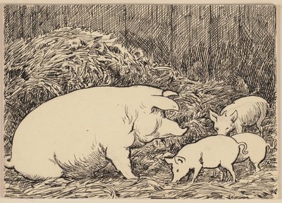Ilustración del abecedario: cerdo de Hans Thoma