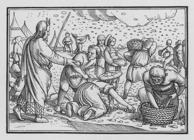 Los israelitas murmuran por falta de pan, Éxodo XVI, 4 de Hans after Holbein the Younger