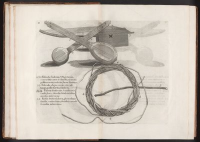 Ilustración del Viaje a la Isla Madera, Barbados...Vol.2, 1815 de Hans after Sloane