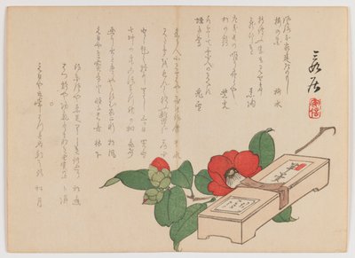 Camelia con caja de dulces (Yokan), c.1860 de Hanzan Matsukawa