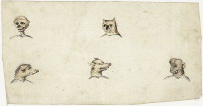 Cabezas de cuatro animales y un esqueleto de Harmen ter Borch