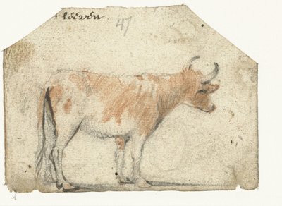 Vaca, de lado de Harmen ter Borch