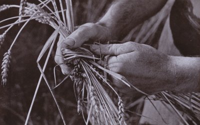 Fabricación de bandas de paja (foto en blanco y negro) de Harold Burdekin