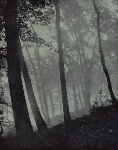 paseos arqueados de arboledas crepusculares Y sombras pardas De pino, o roble monumental, Milton (foto b/n) de Harold Burdekin